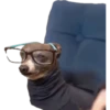 En esta  amamos los perros 6