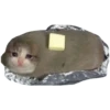 Memes loucos 9