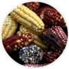 Ecuador 6