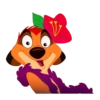 Timão fabuloso