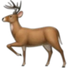 Animales☆♡ 8