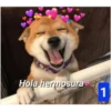Secuencias de perritos  2 7
