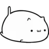 Fluffy pretty cat 7
