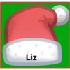 Liz