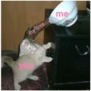 me
my love