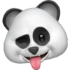 Memoji Pandita 6