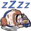 ZZZZ