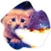 Gatos do espaço 6