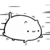 Fluffy pretty cat 9