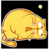 yellow cat 14