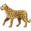 Animales☆♡ 10