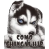 COMO
CHINGAS HJP
MIKE
