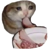 Memes loucos 13