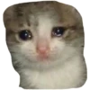 Memes loucos 14
