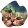 Gatos do espaço 8