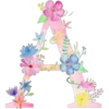 Letters with flowers 12