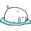 Fluffy pretty cat 11
