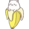 Cats in bananas 5
