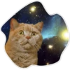 Gatos do espaço 10