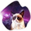 Gatos do espaço 11