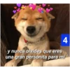 Secuencias de perritos  2 10