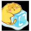 yellow cat 17