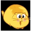 yellow cat 18