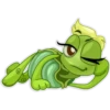 Beauty_turtle 13