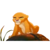 Filhote rabugento