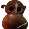 @ADOLFOOJOSE