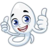 Mr. Zoid 23