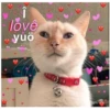 lovê
yuö
so.,, munch.i