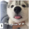 Secuencias de perritos  2 12