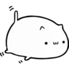 Fluffy pretty cat 13