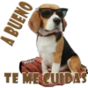 MIKE
TE MECUIDAS
ONINA