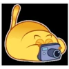 yellow cat 21