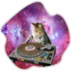 Gatos do espaço 15