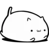 Fluffy pretty cat 15