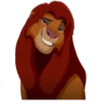 Simba piscando