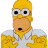 Homero Simpson 13