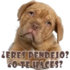 LERES PENDEJO?
10-TEHACES?
MIKE
