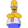 Homero Simpson 14