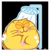 yellow cat 22