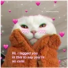 Love cats 2 18