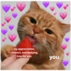 | my appreciation,
respect, and undying
love for you
you