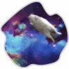 Gatos do espaço 18