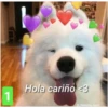 Secuencias de perritos  2 15