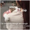 Love cats 2 20