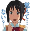 Kimi No Na Wa (Your Name) 17
