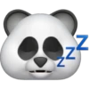 Memoji Pandita 9
